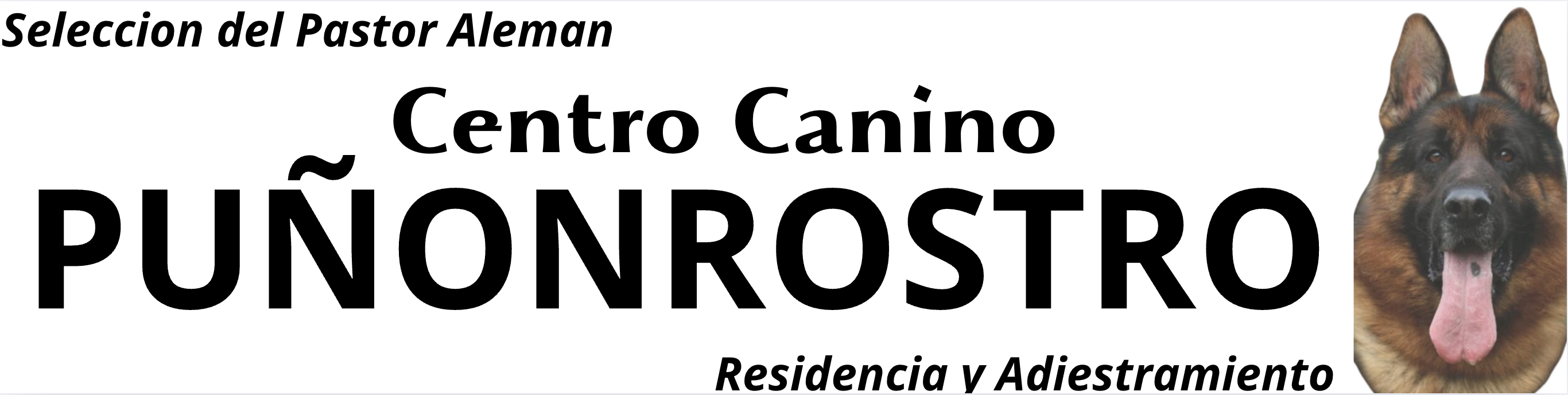 CC_Punonrostro